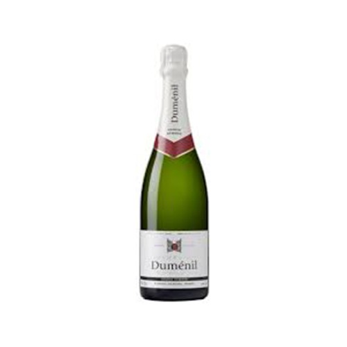Lees meer over het artikel Champagne Duménil premier Cru Brut