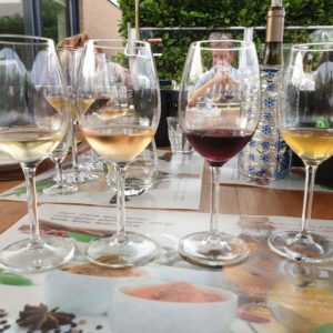 Lees meer over het artikel Wijnproeverij     “ Verassende  wijnen  van  onder  de  € 9,99.”